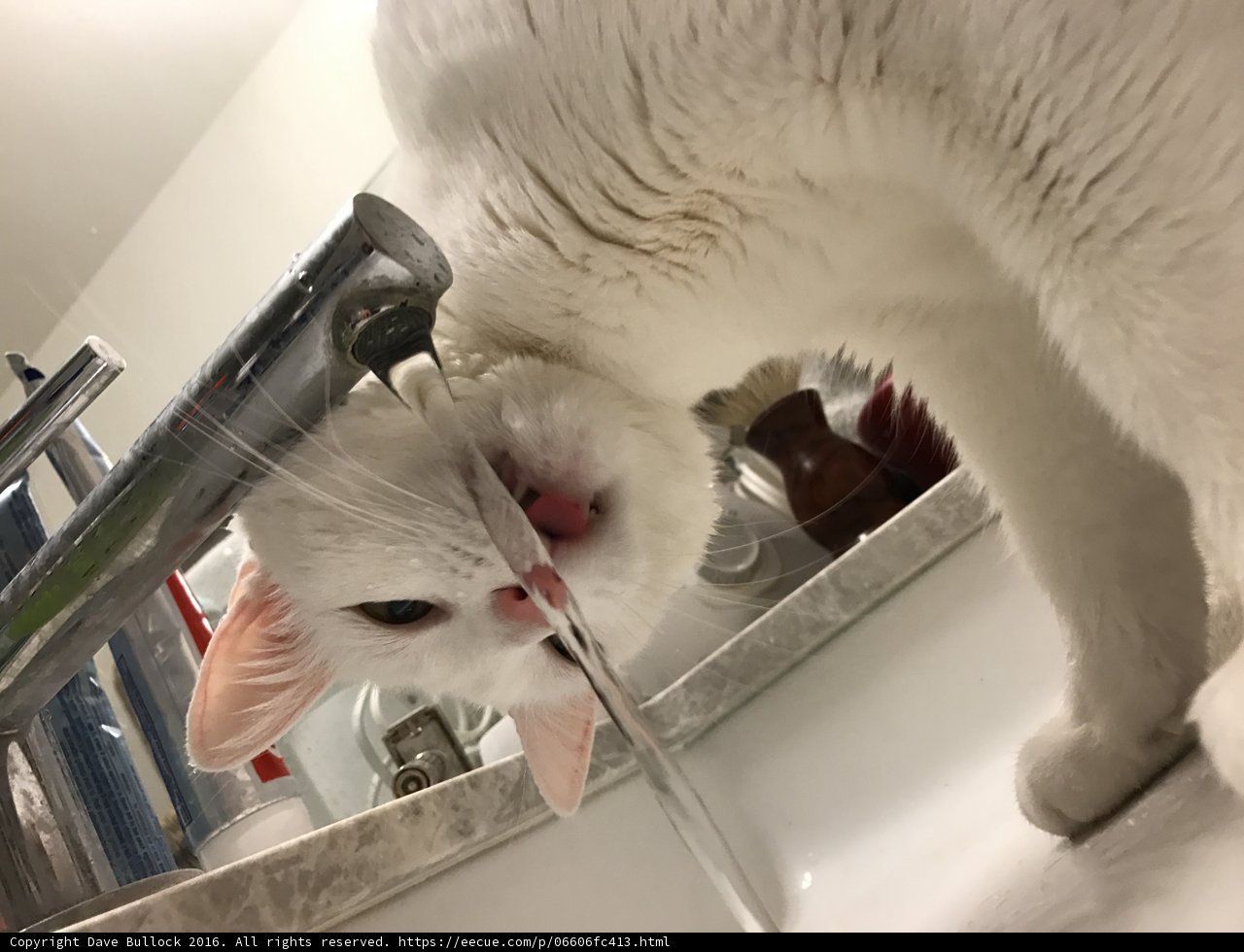Faucet Fun