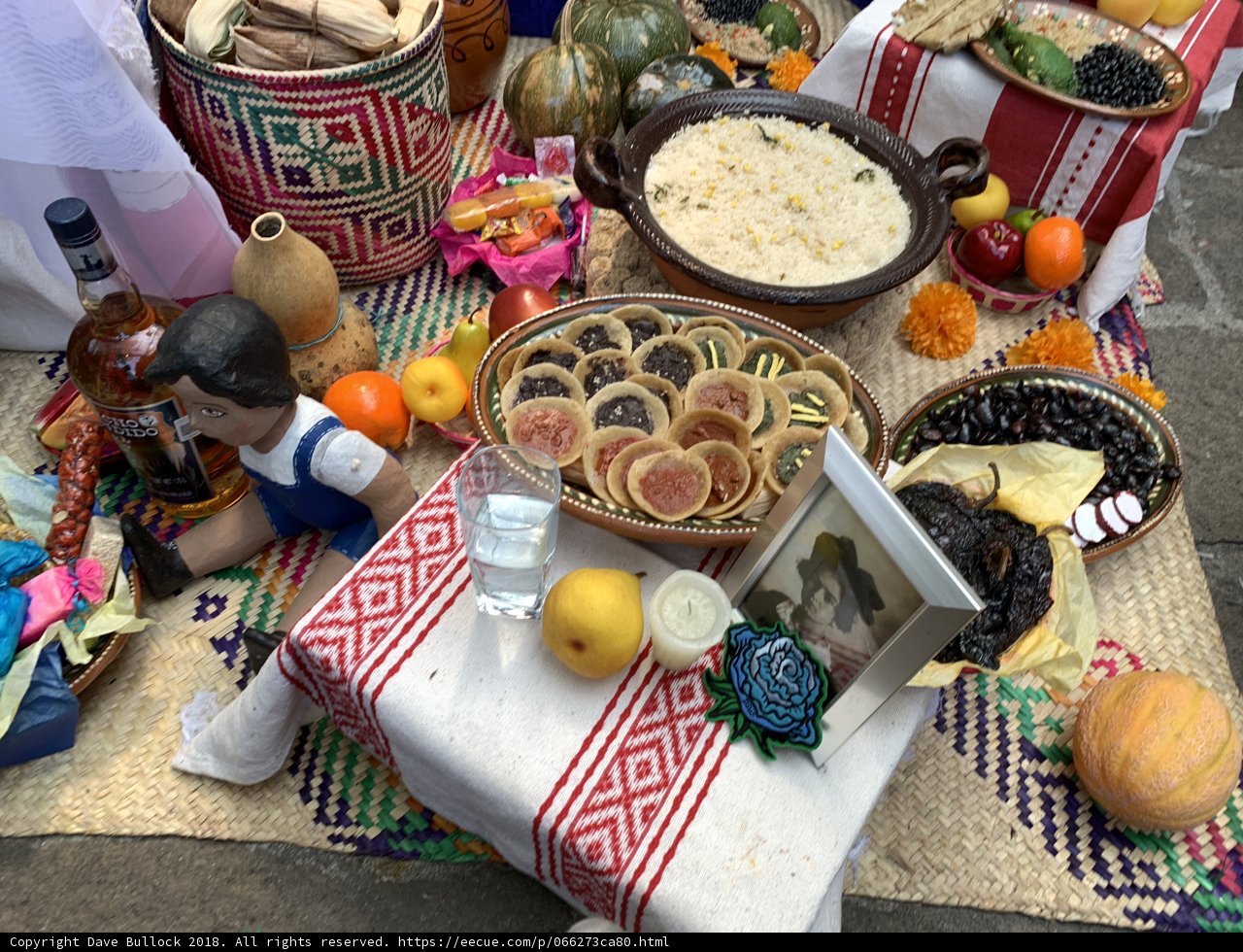 A Feast for All Ages