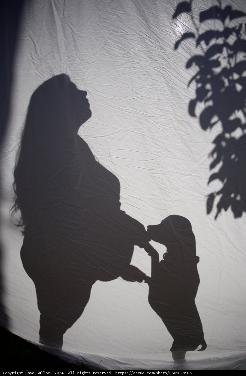 Anticipation in Silhouette