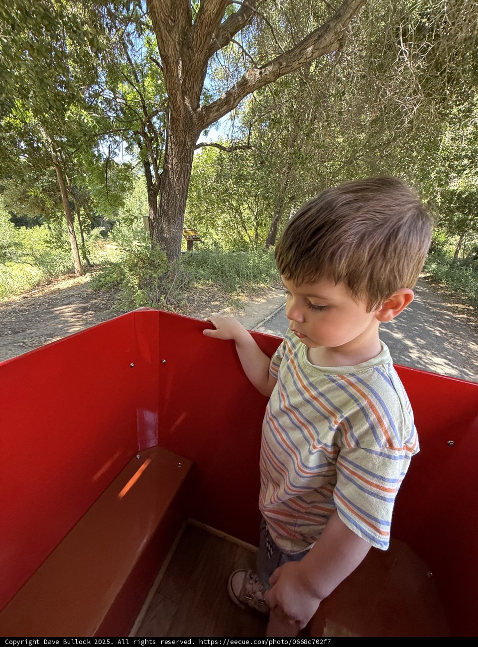 Summer Adventure in Walnut Creek