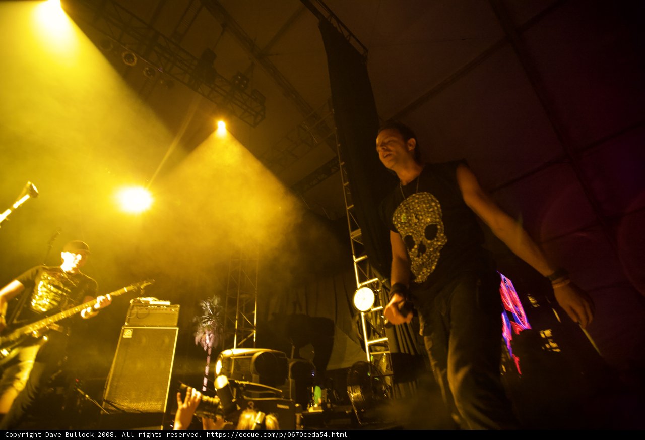 Rocking Out at Coachella