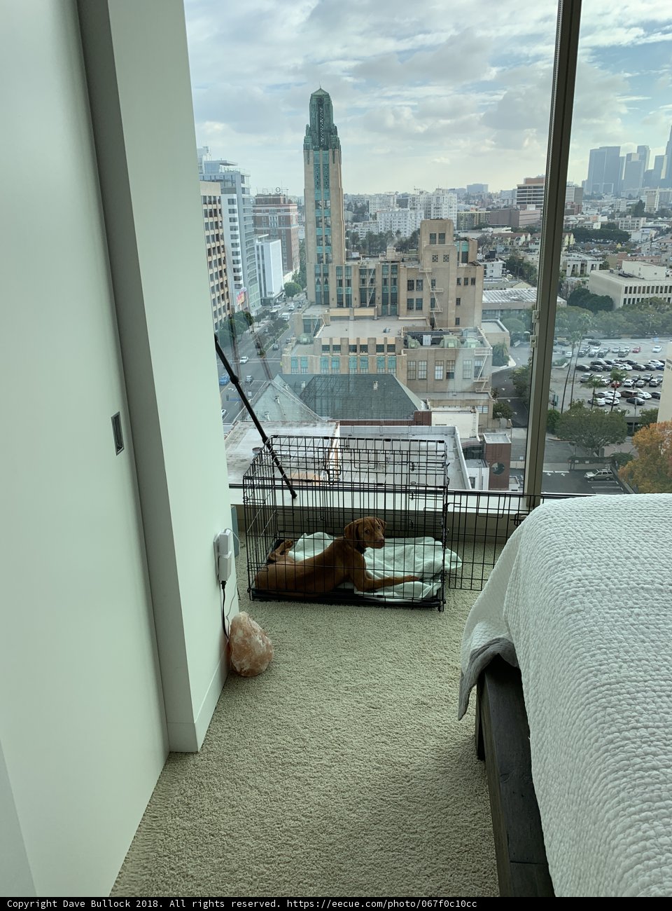 Urban View from the Window