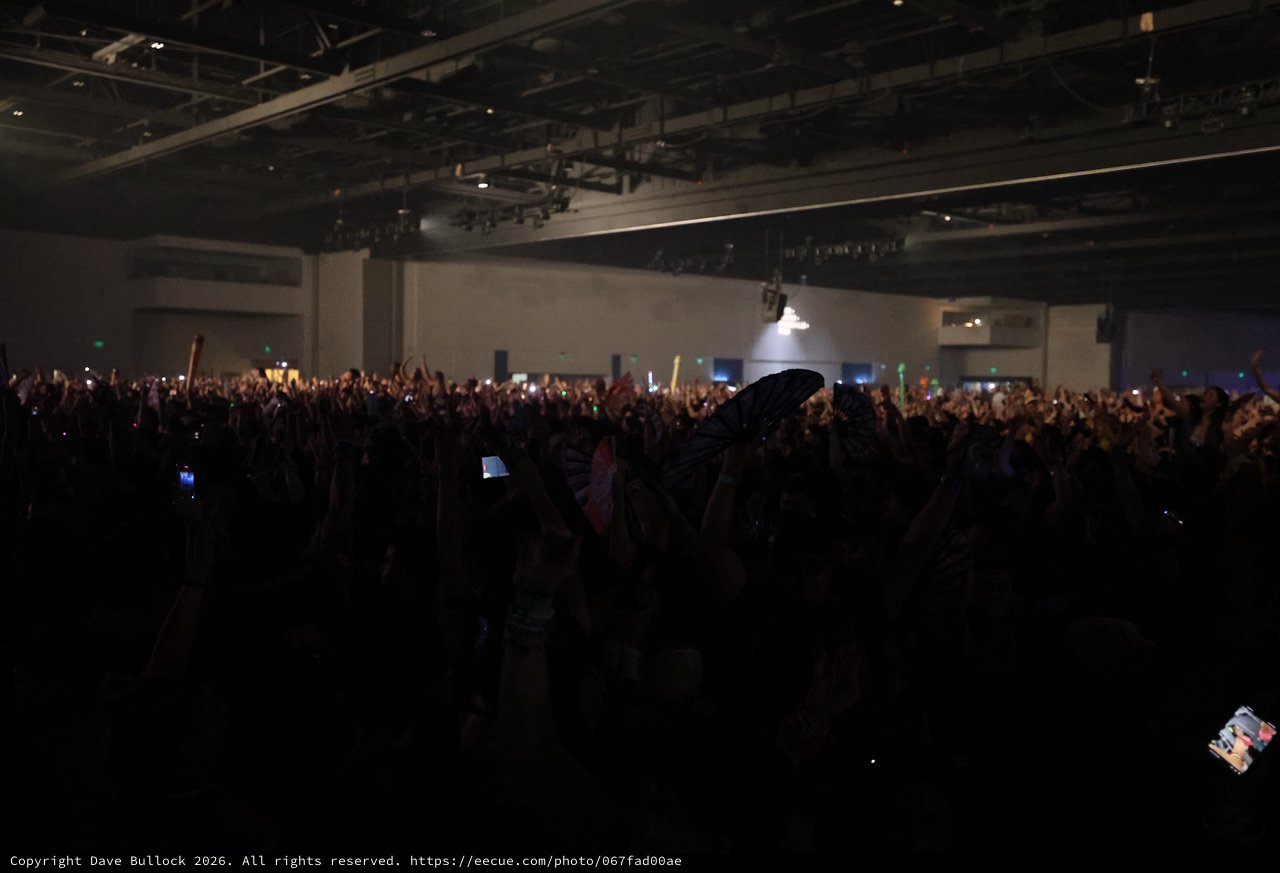 Massive Crowd Erupts at Wobbleland 2026 Festival