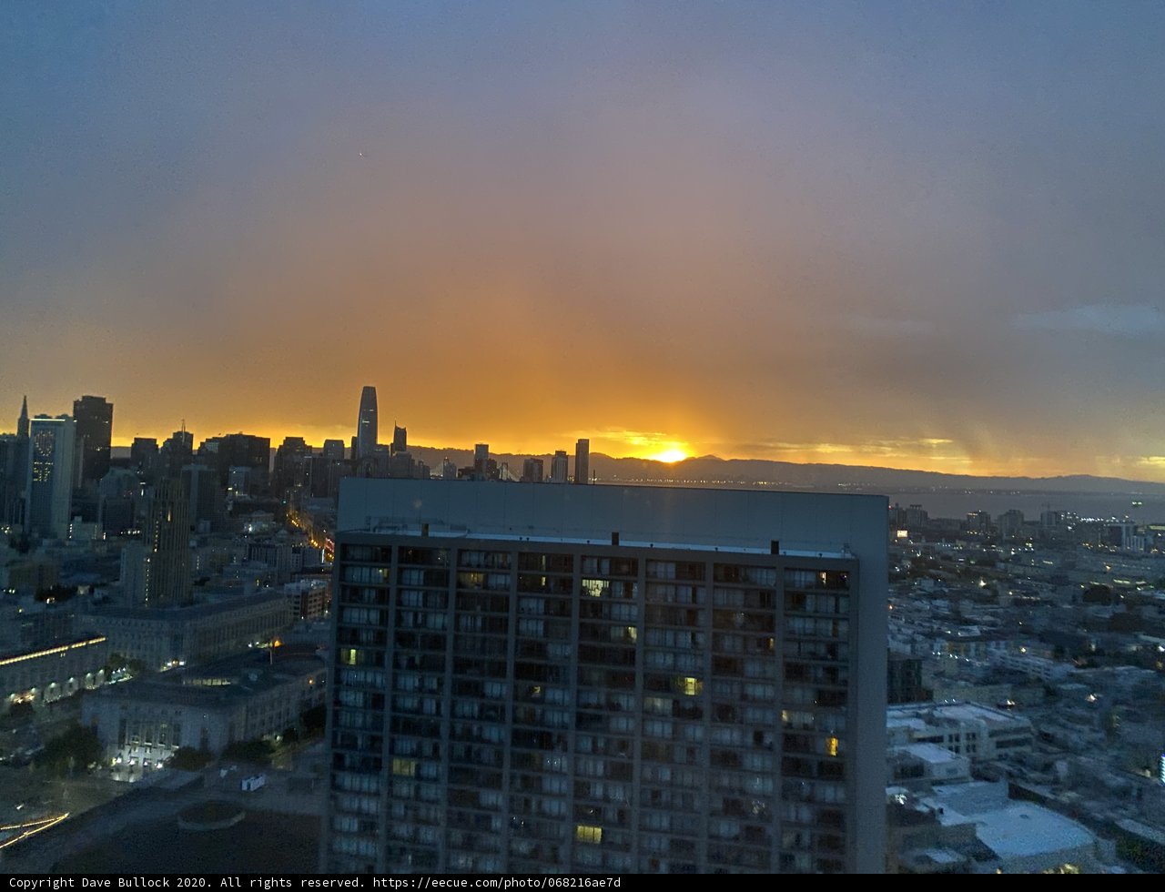 Golden Hour in the Urban Jungle