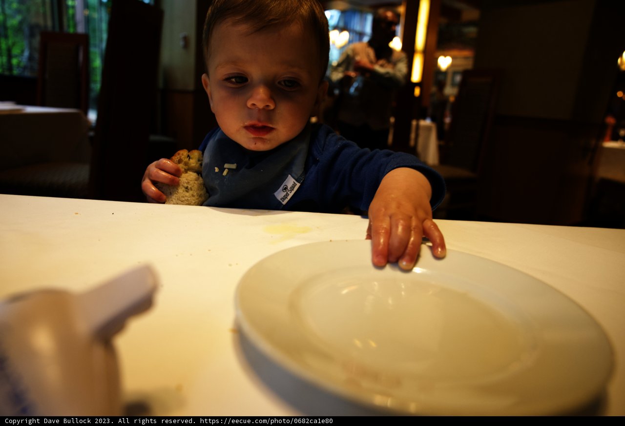 Little Sandwich Lover at Disneyland