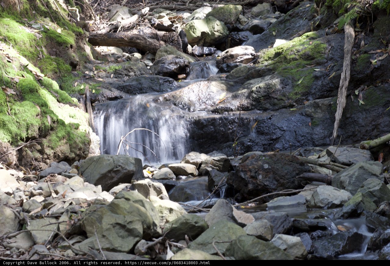 Serene Cascade in the Forest
