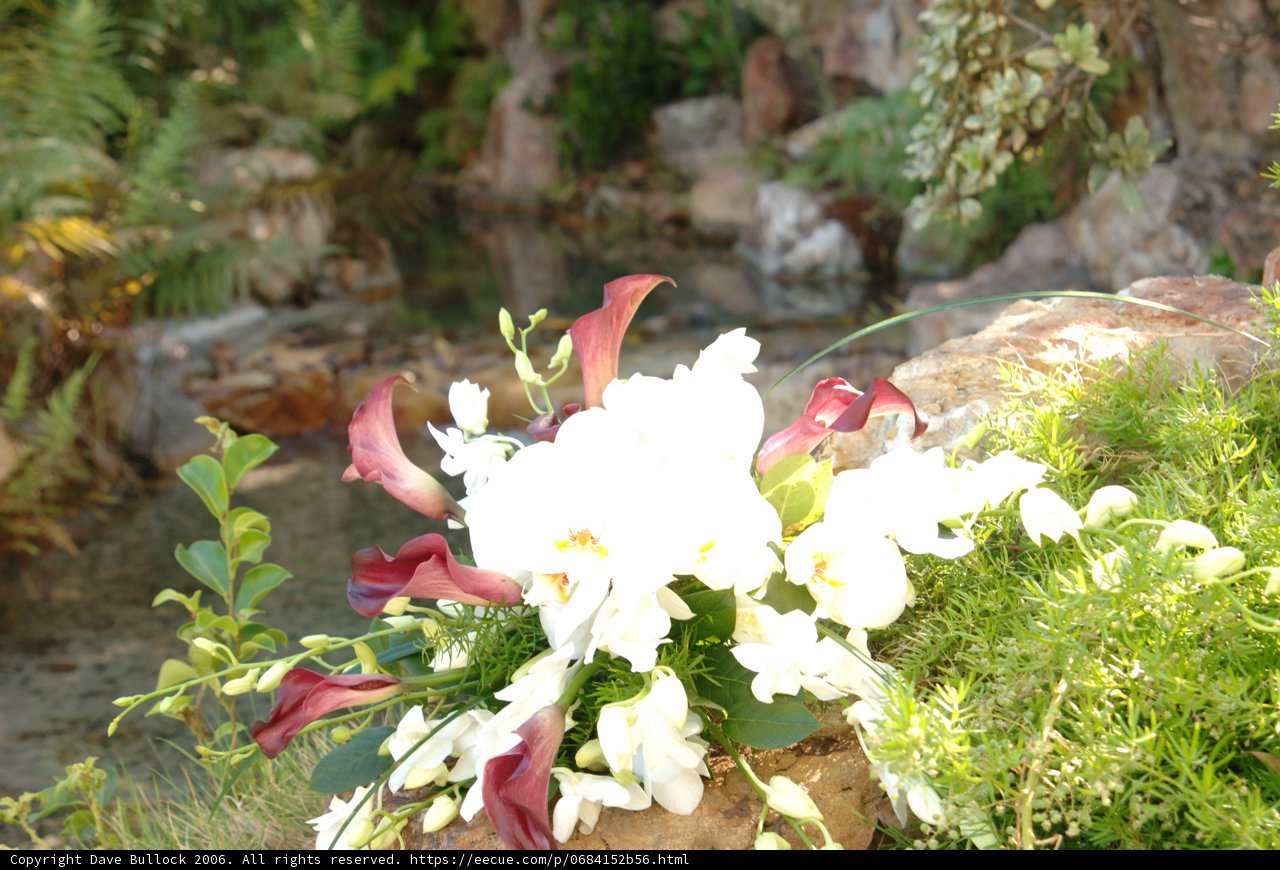 Wedding Bouquet Delight