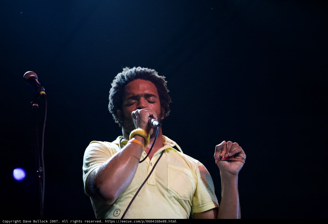 The Yellow Shirt Serenade