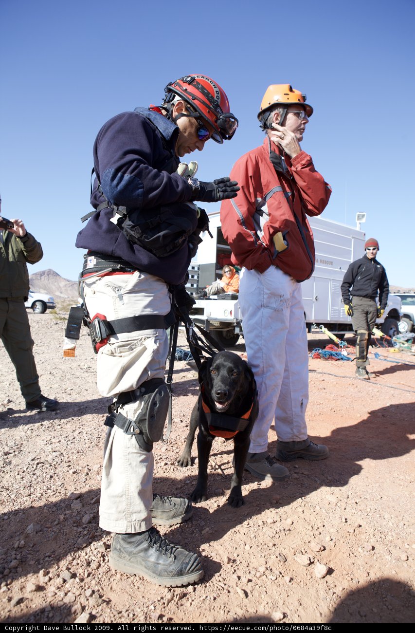 Man and Dog on a Mine Rescue Mission