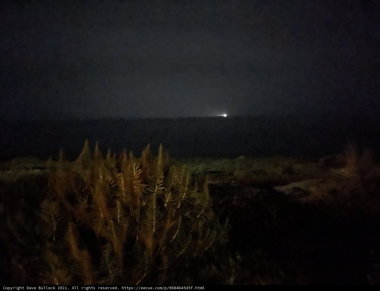 Illuminating the Night Sea