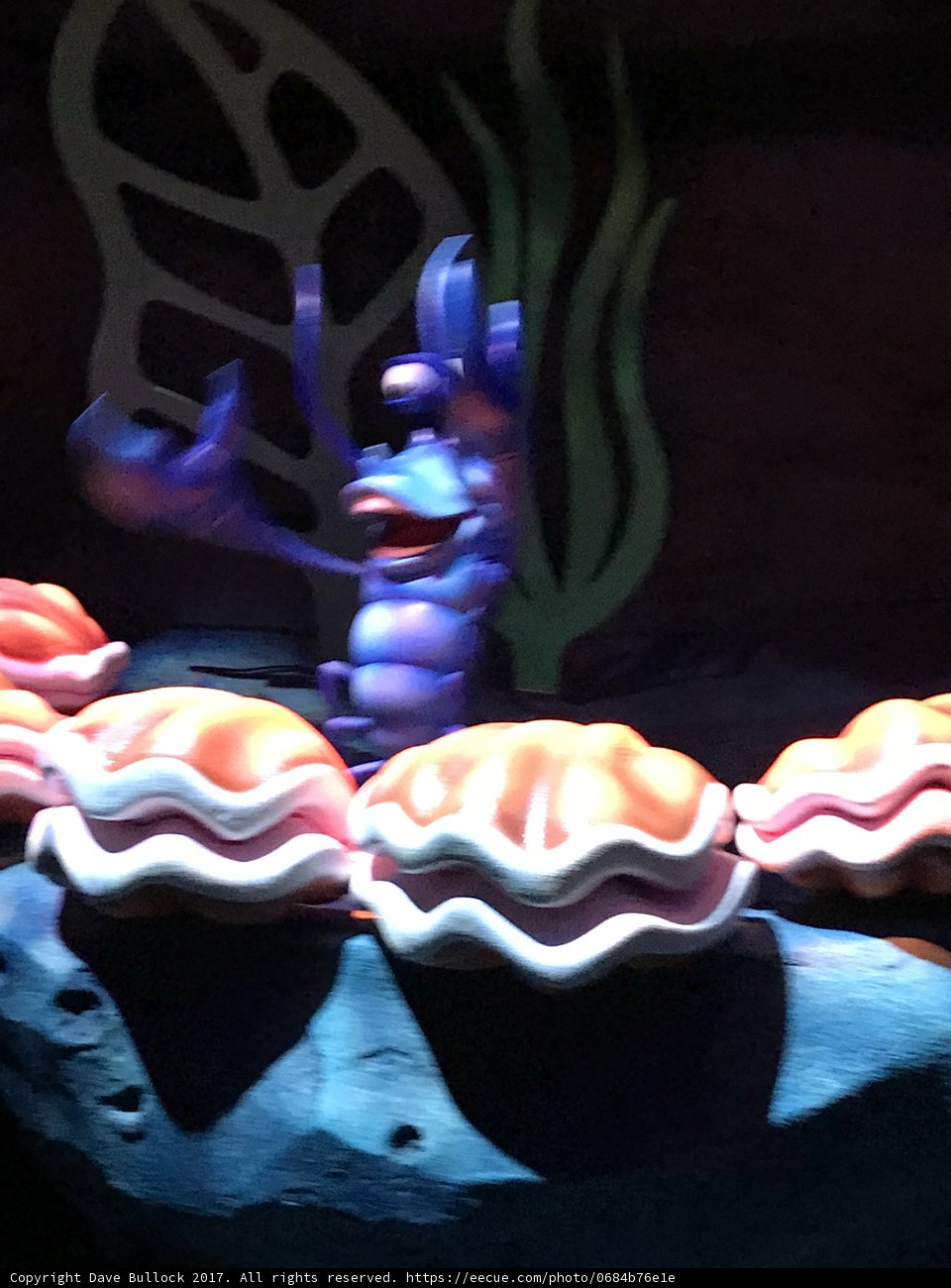 Finding Nemo's Crab on a Rock