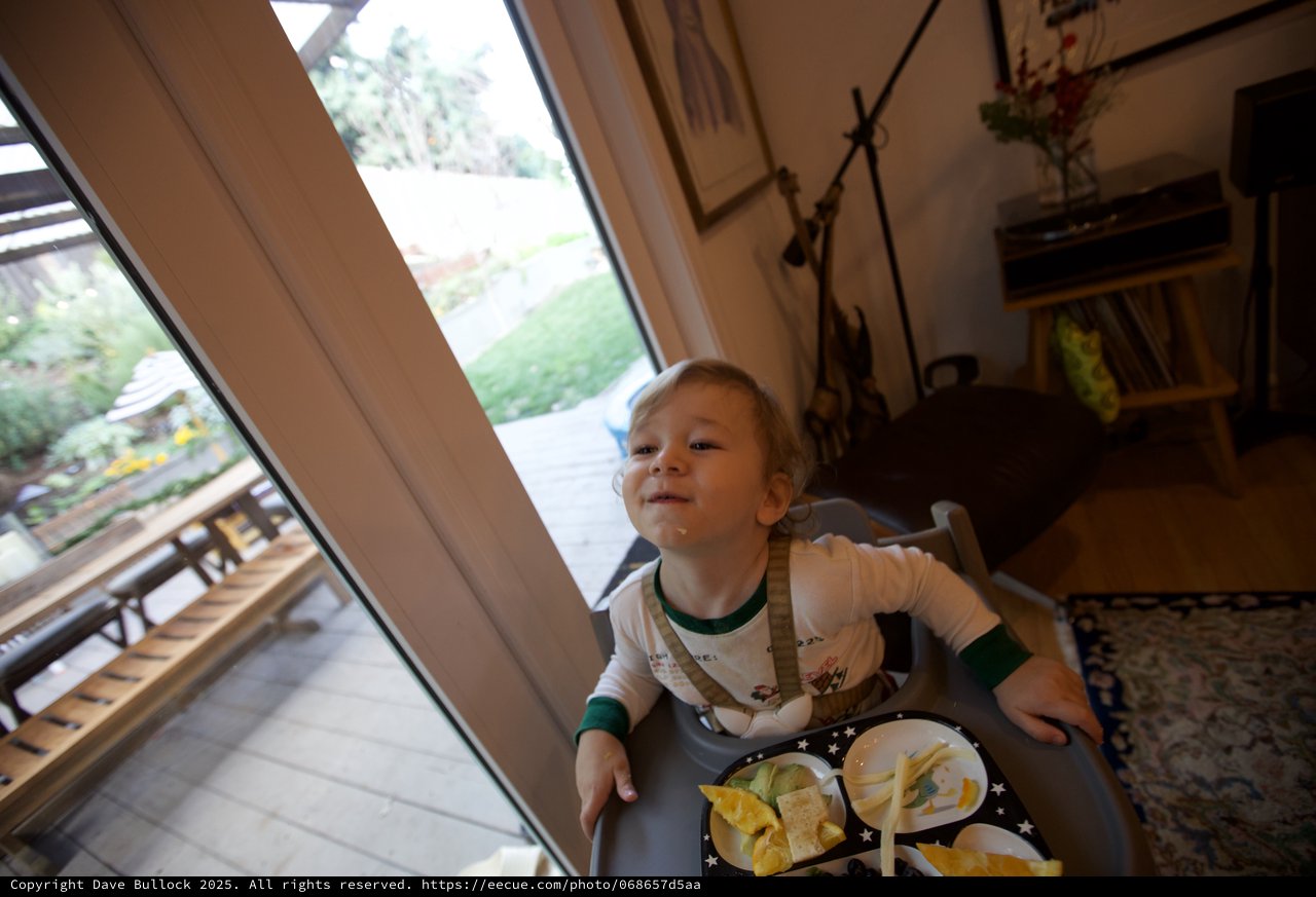 Toddler's Joyful Christmas Eve Dinner at Home