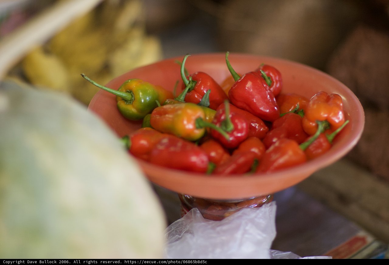 Colorful Peppers