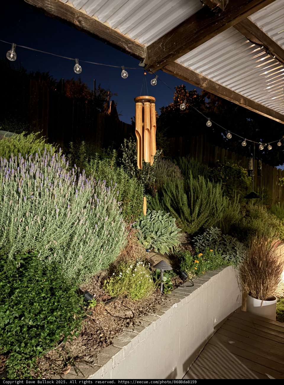 Tranquil Evening in the Garden