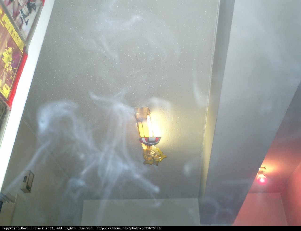 Smokey Serenity in Shinjuku
