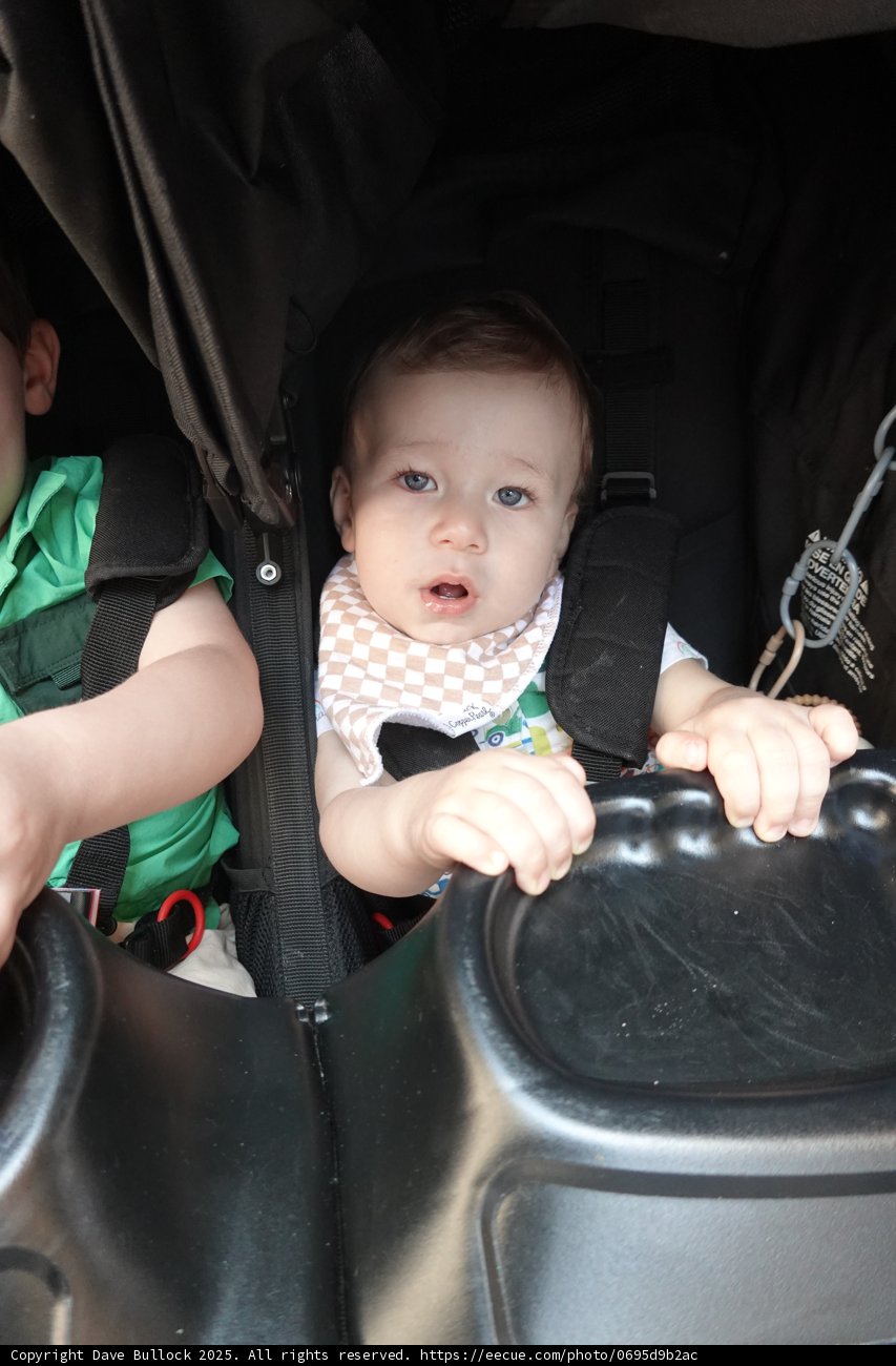 Double Trouble in the Stroller