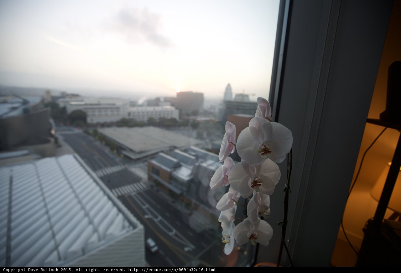 Orchid Disney Hall City View