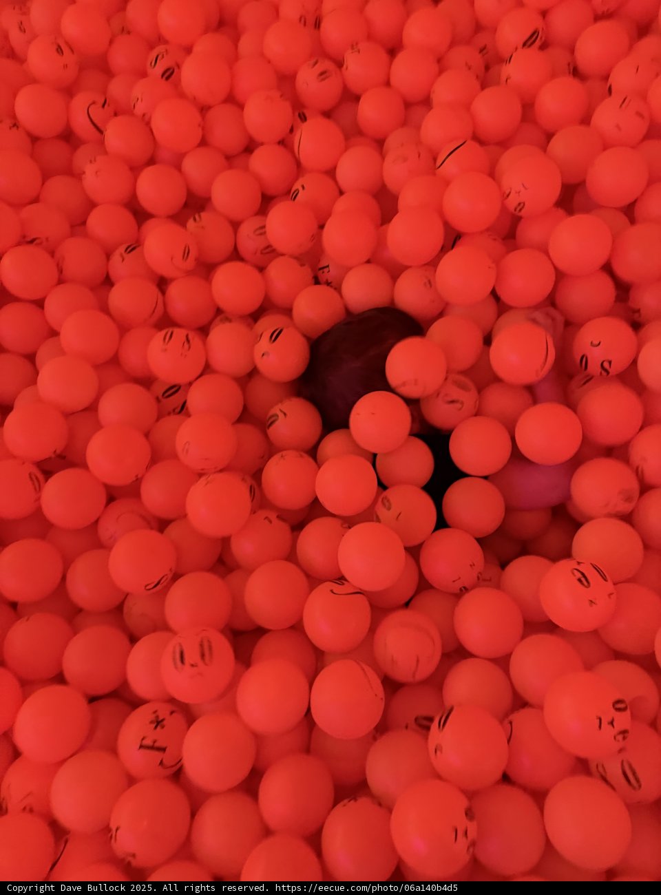Immersed in Red
