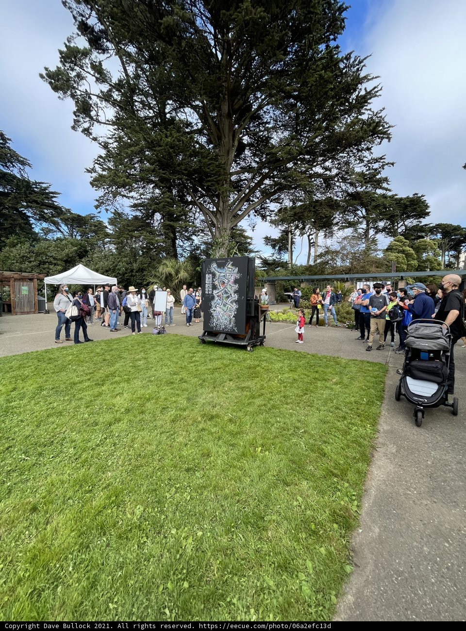 Tree of Life in San Francisco Botanical Garden