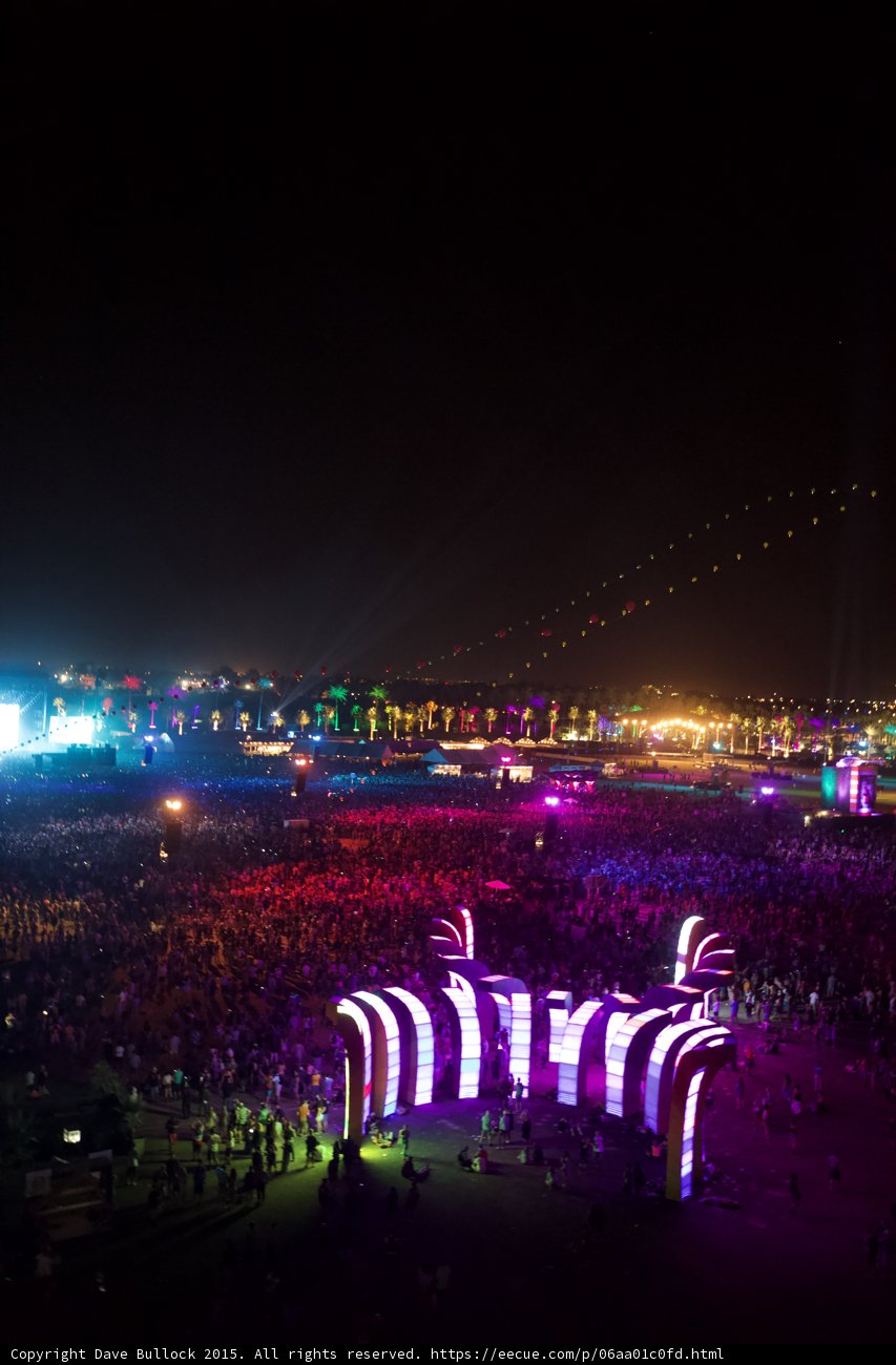 Neon Nightlife