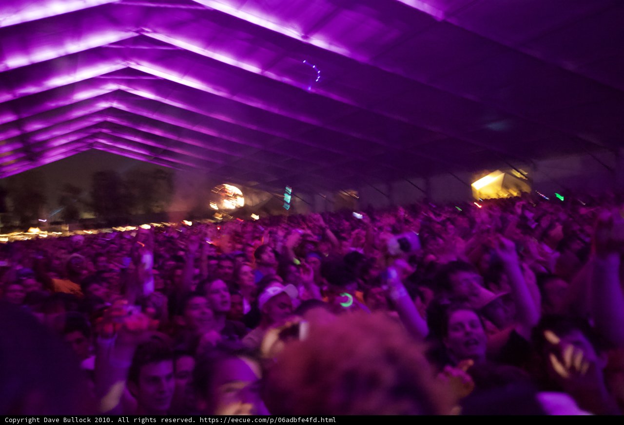 Purple Hues Light Up the Night