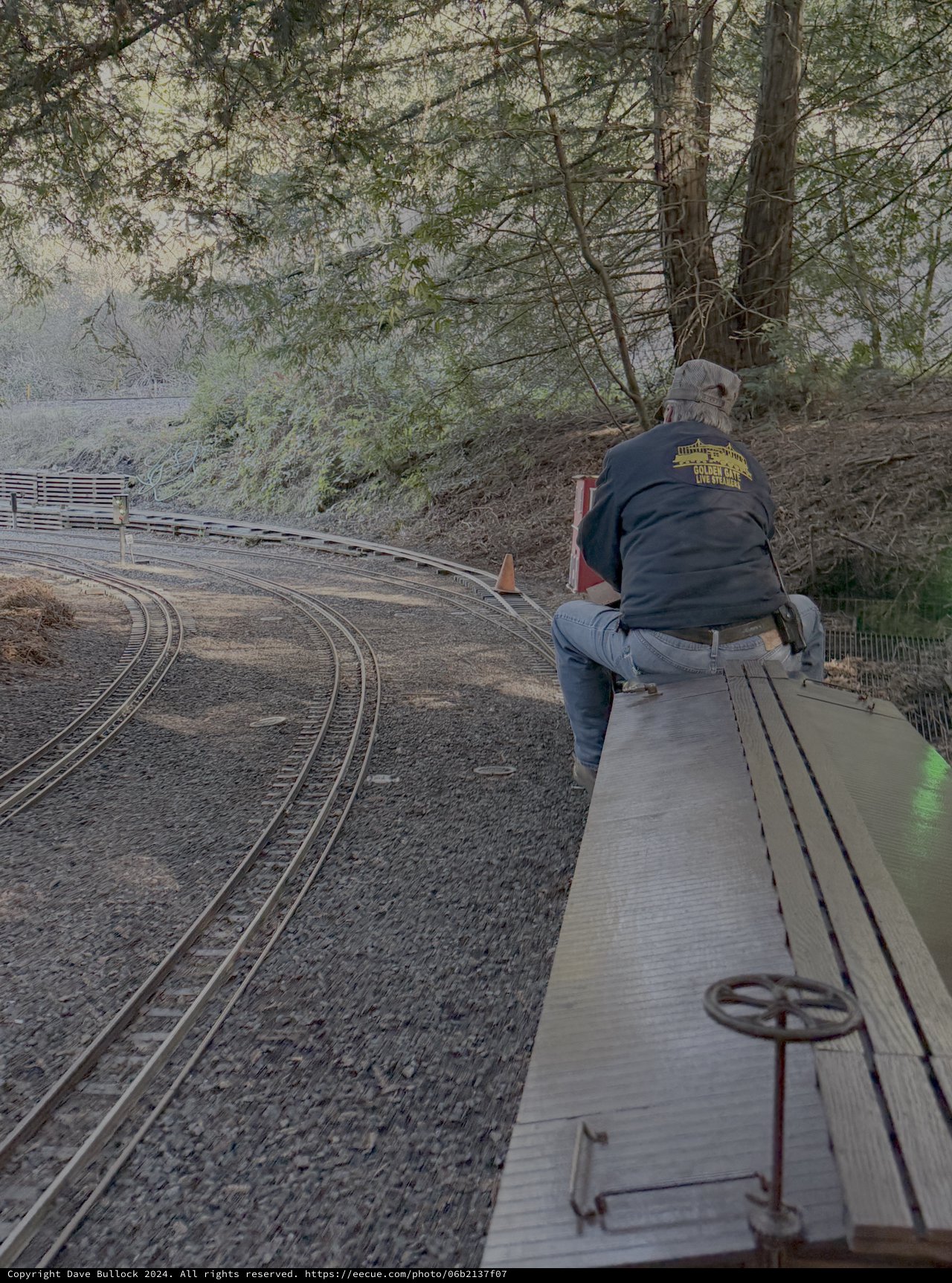 Railroad Worker Inspecting Curved Mountain Tracks