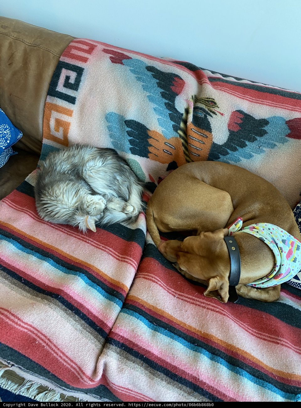 Peaceful Coexistence