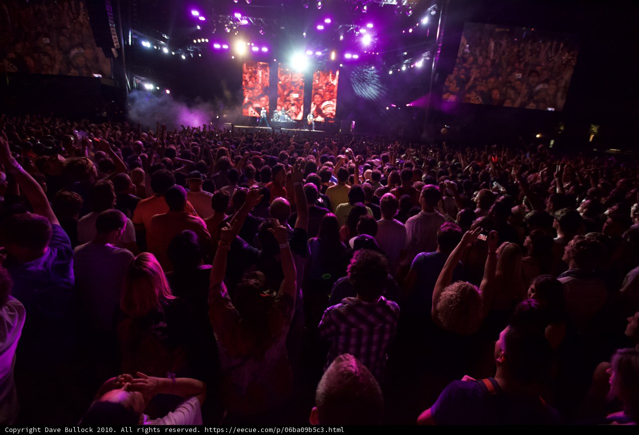 Electric Crowd at Coachella 2010