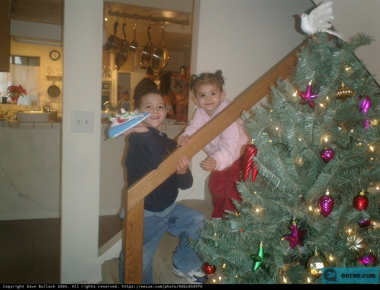 Holiday Joy