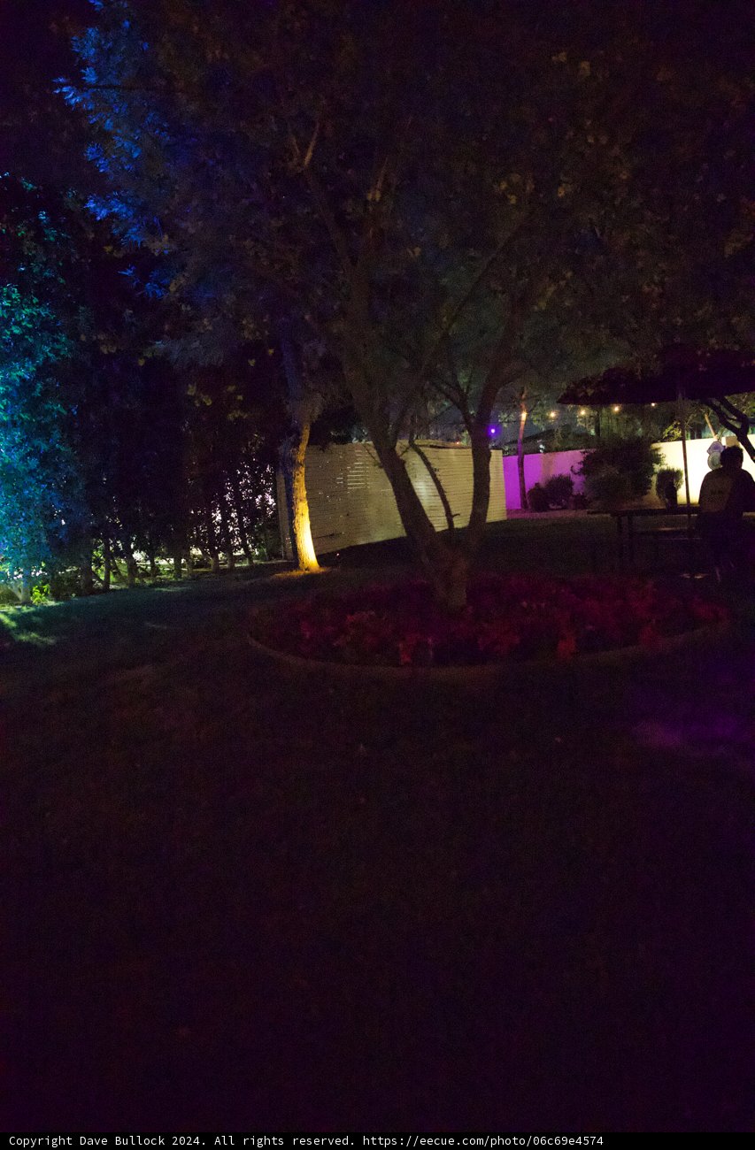 Enchanted Evening at Coachella