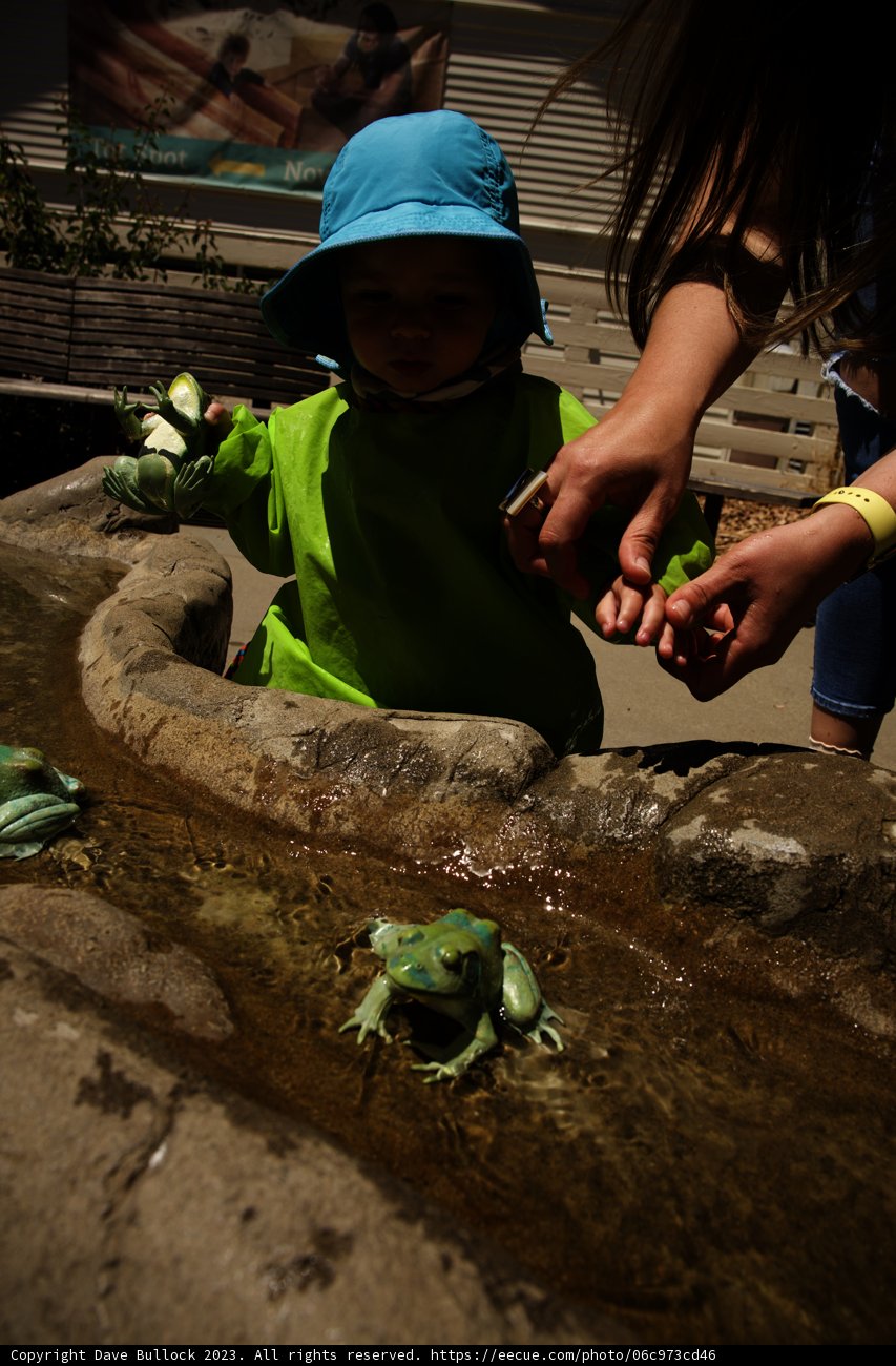 Day of Discovery at the Bay Area Pond
