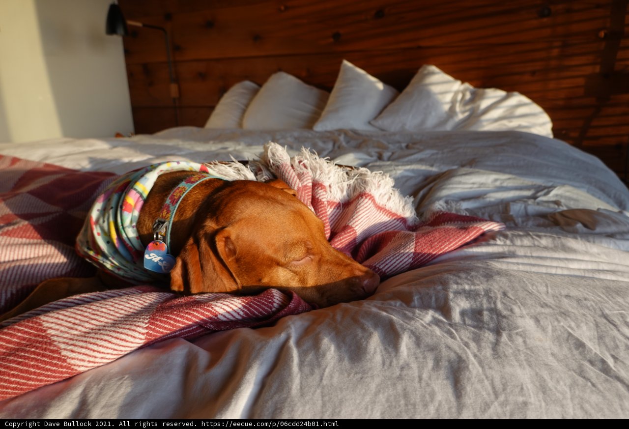 Snoozing in Style
