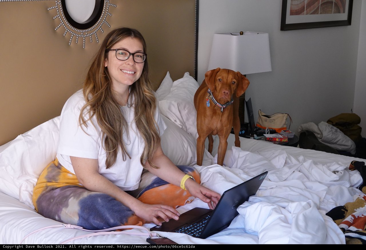 Woman and Dog Working from Bed