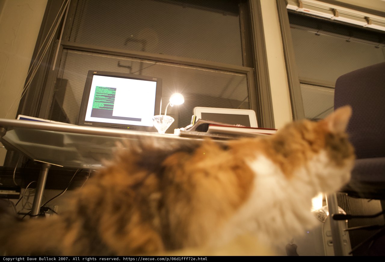 Tech-Savvy Feline on Duty