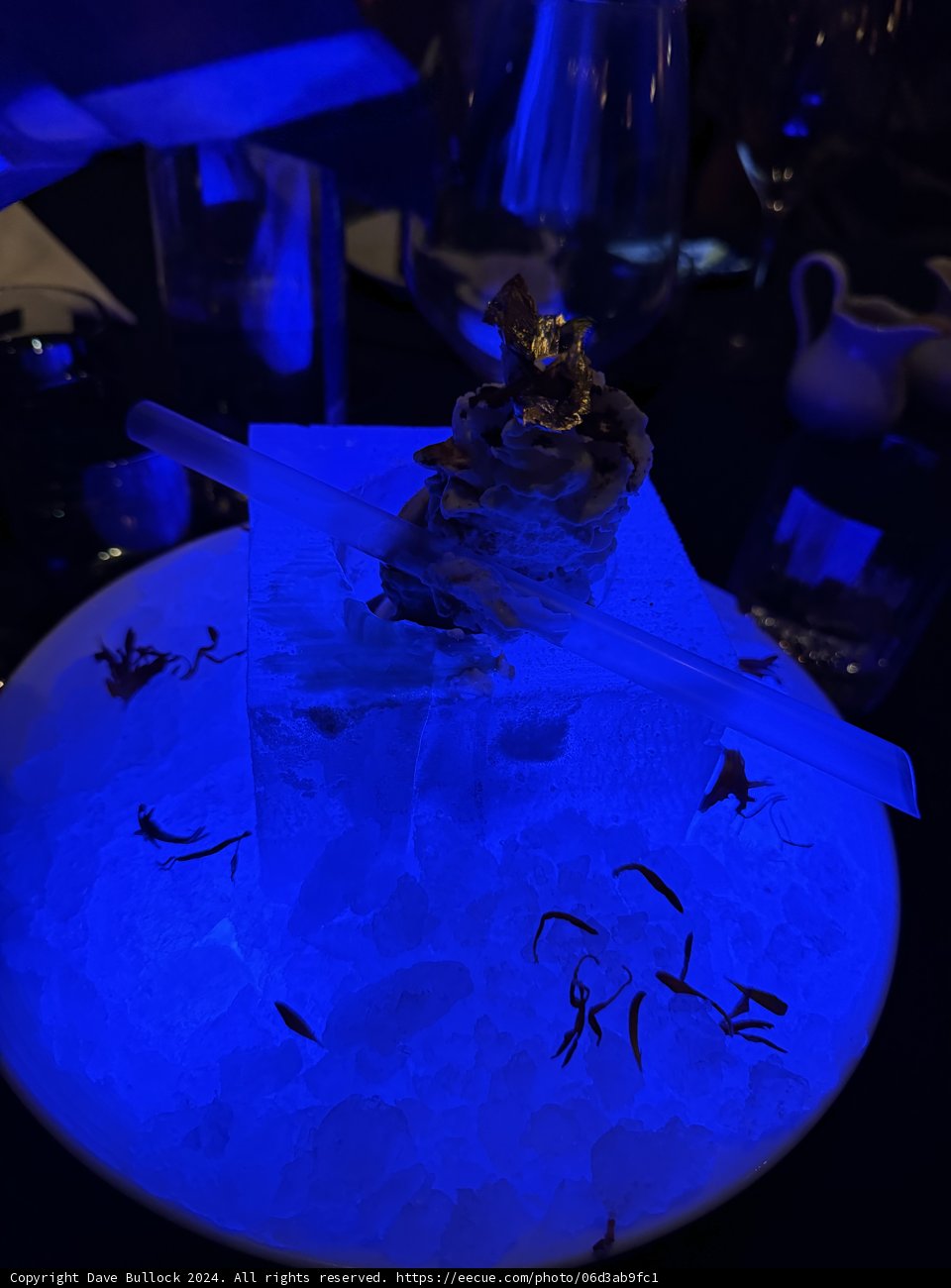Ethereal Aquatic Delight