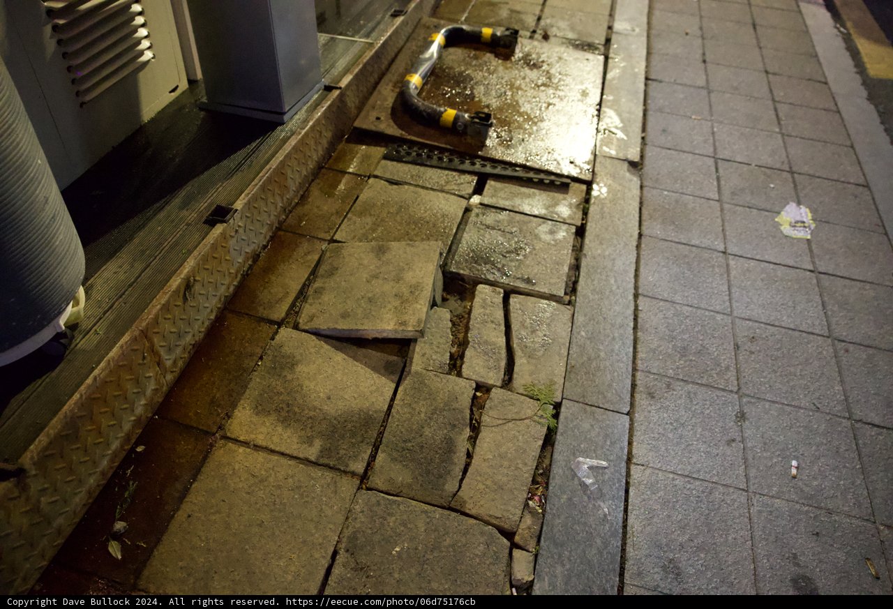 The Solitary Sentry of Seoul's Streets