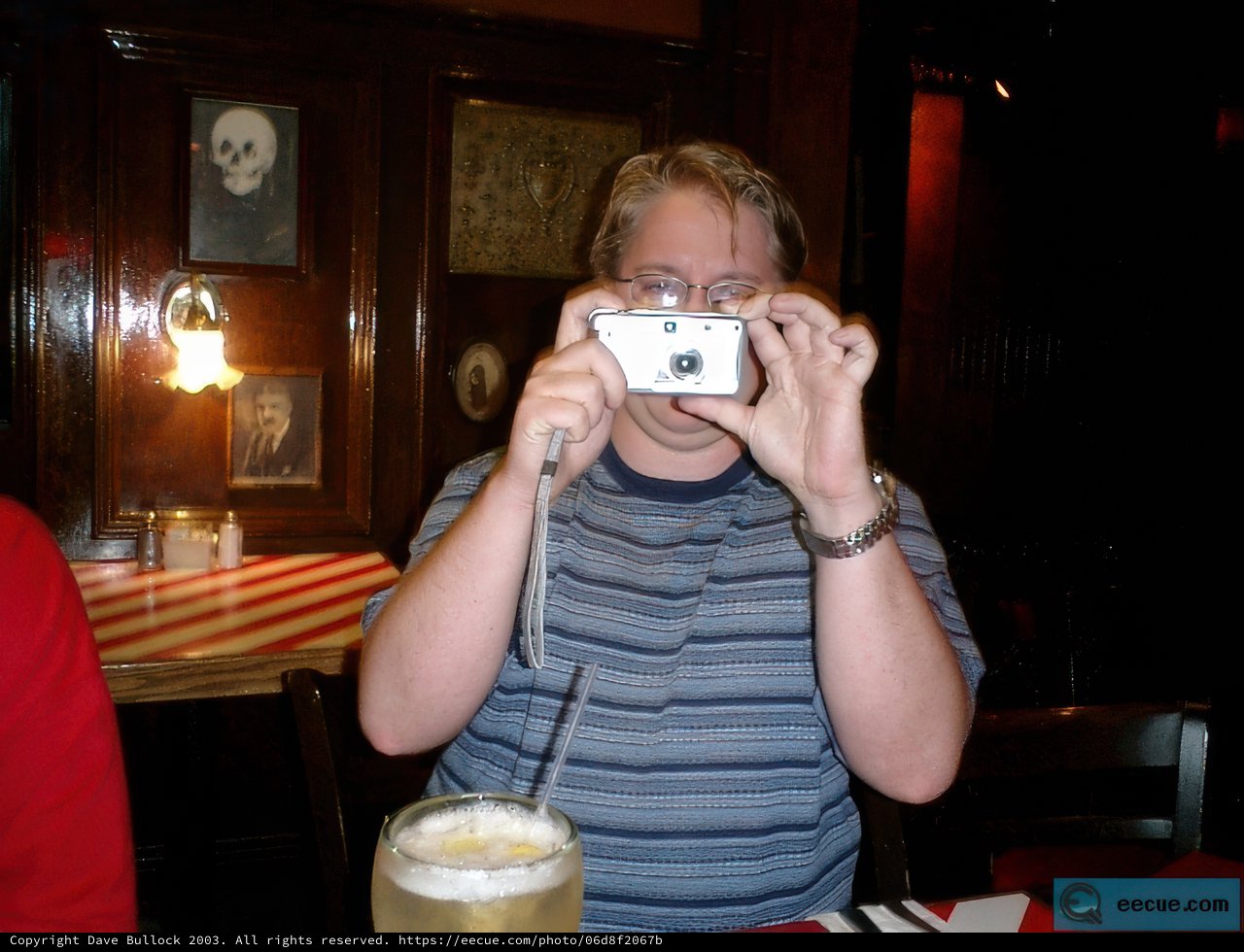 Self-Portrait with Camera