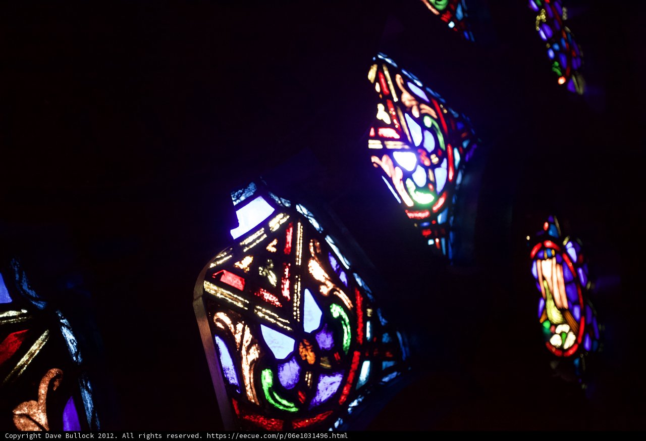 Beauty Illuminated