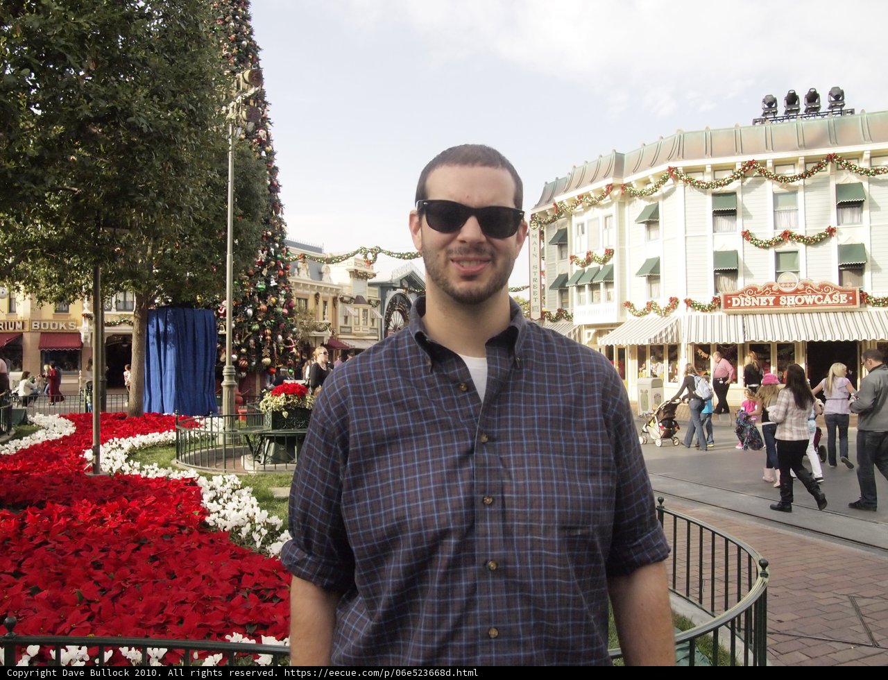 Festive Shades
