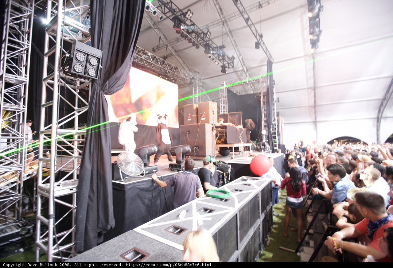 Coachella Concert Excitement