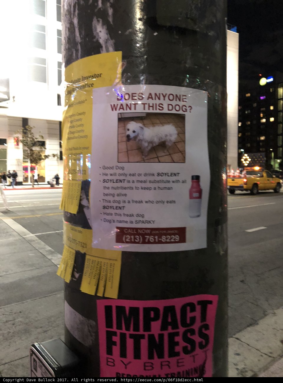 Impact Fitness Sign on a Pole in the City