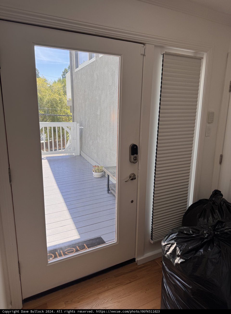 A Peek Outside