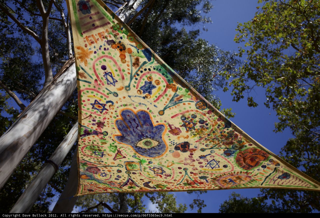 treetop kite
