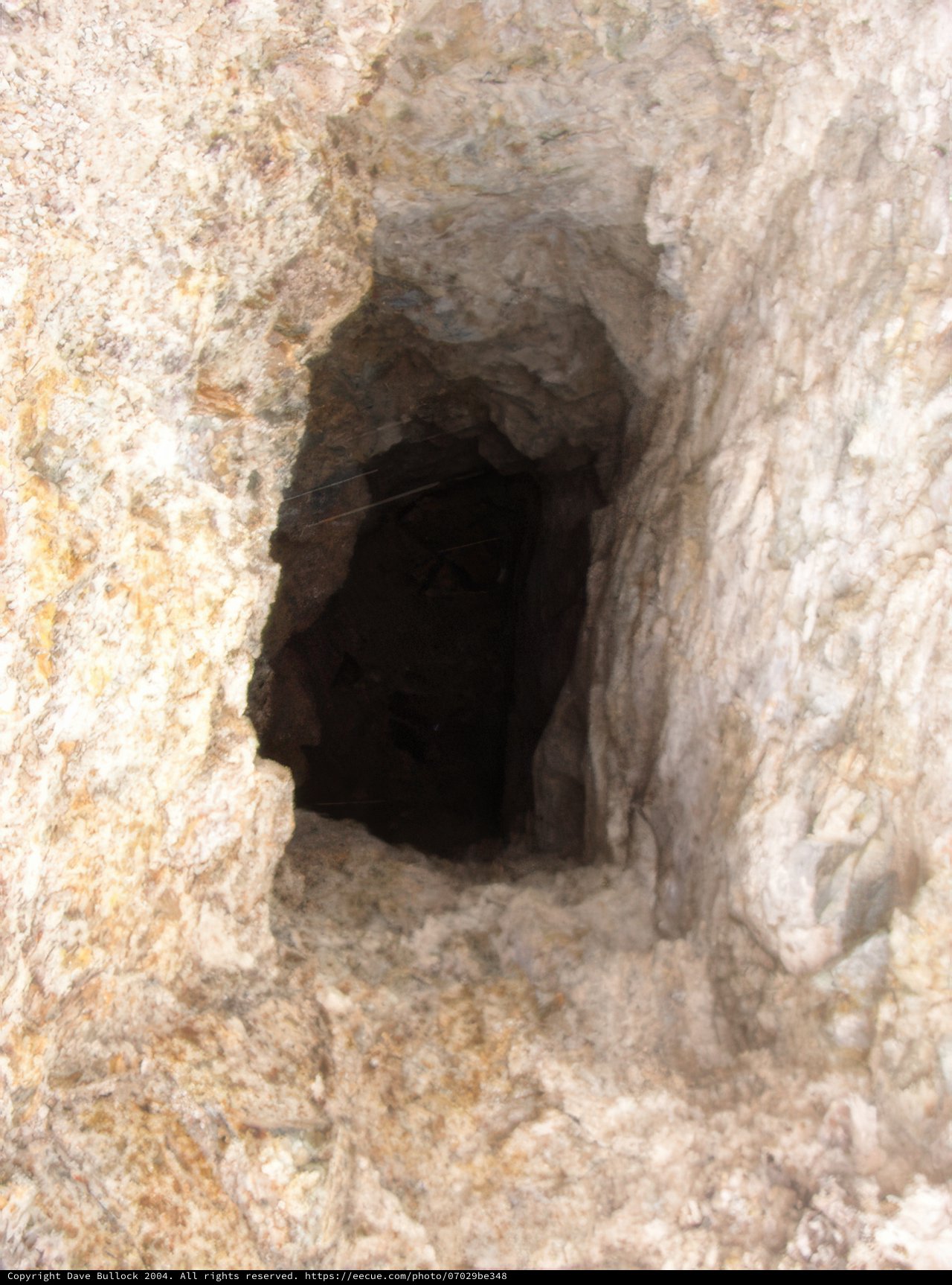 A Peek into the Underground