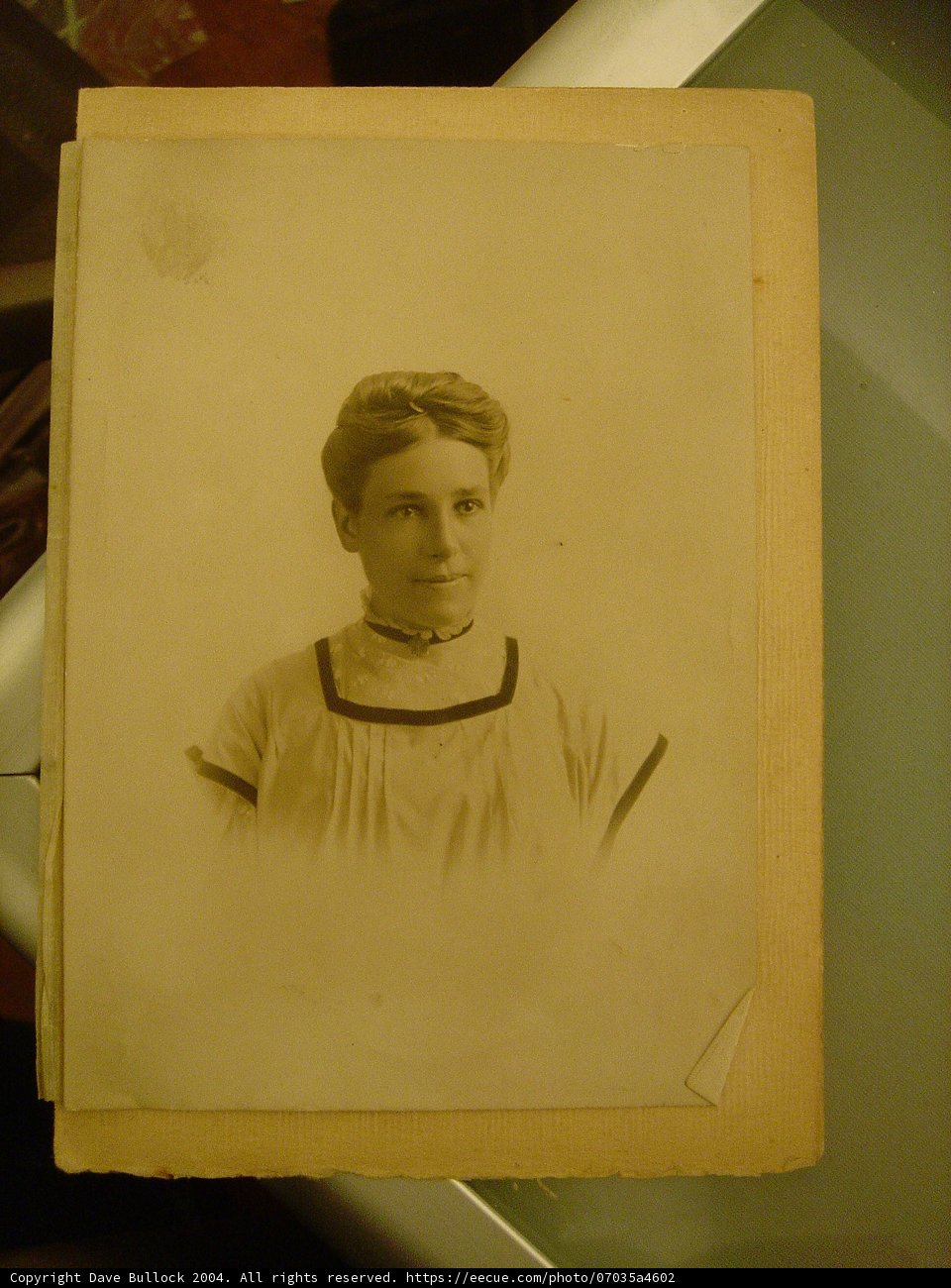 Portrait of a Woman in a Dress on Plywood