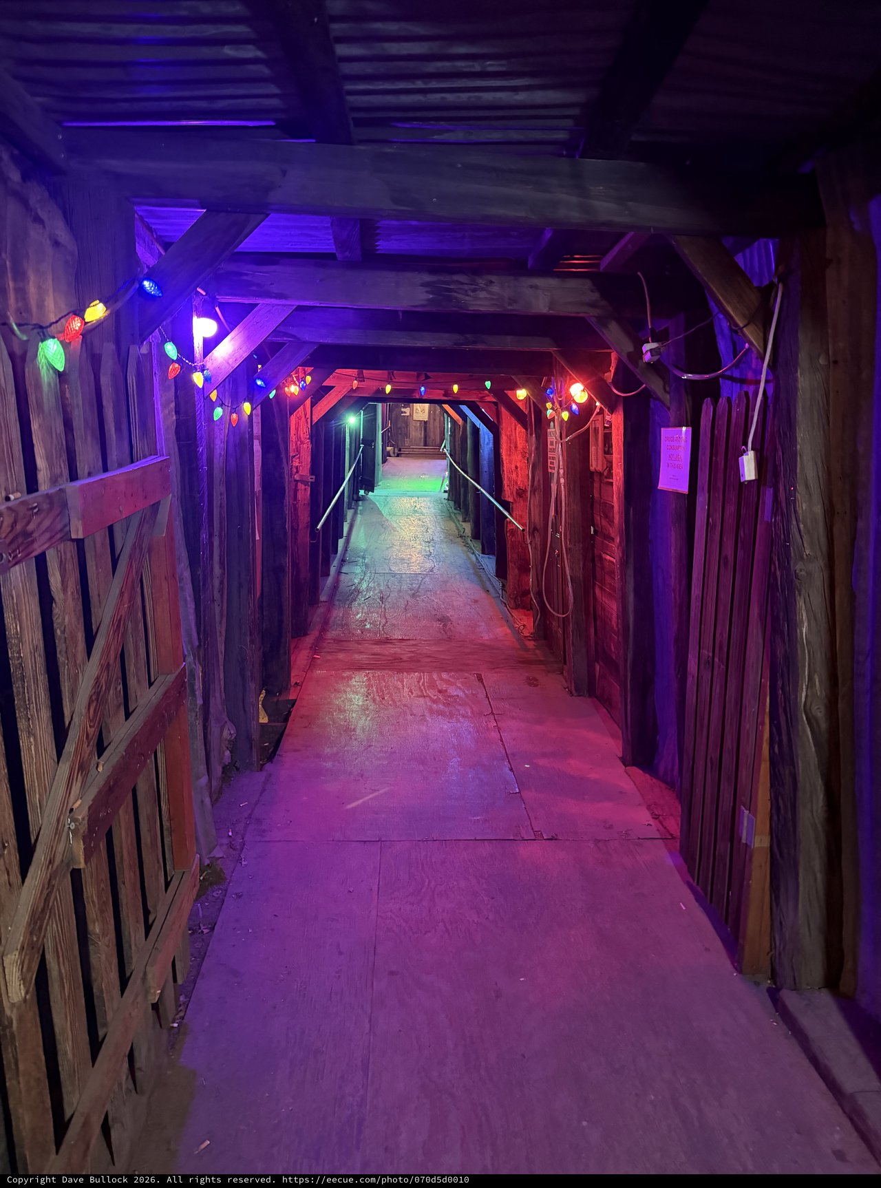 Illuminated Wooden Tunnel with Colorful String Lights