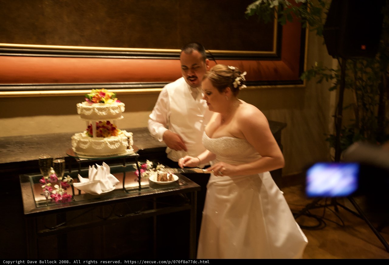 Cutting the Wedding Cake