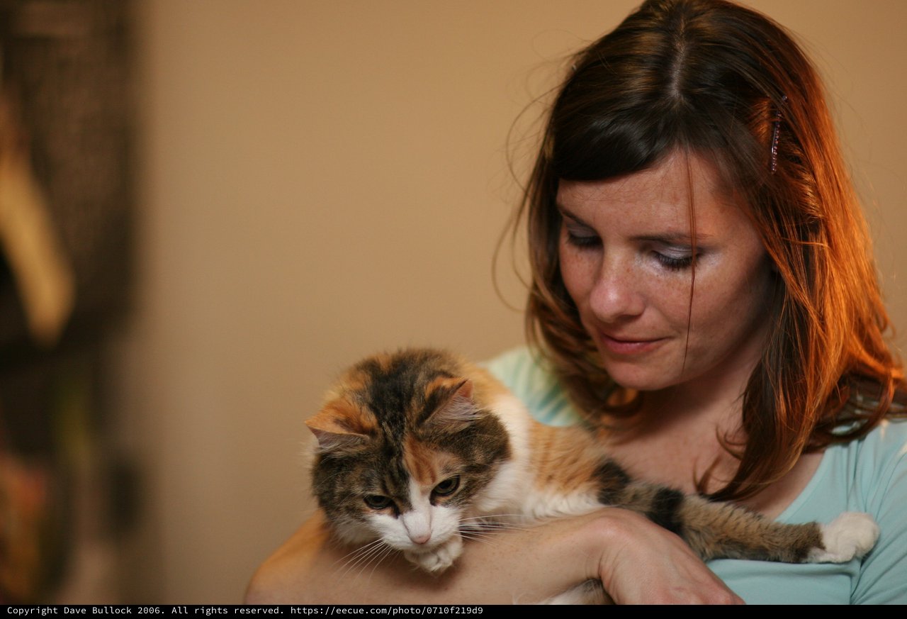 Woman Tenderly Cradling Her Calico Cat Indoors