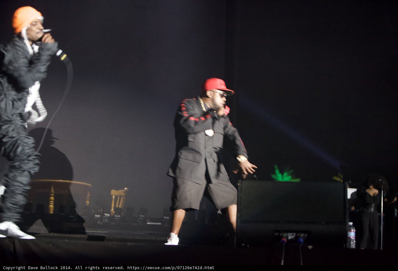Crowd Goes Wild at Coachella Performance