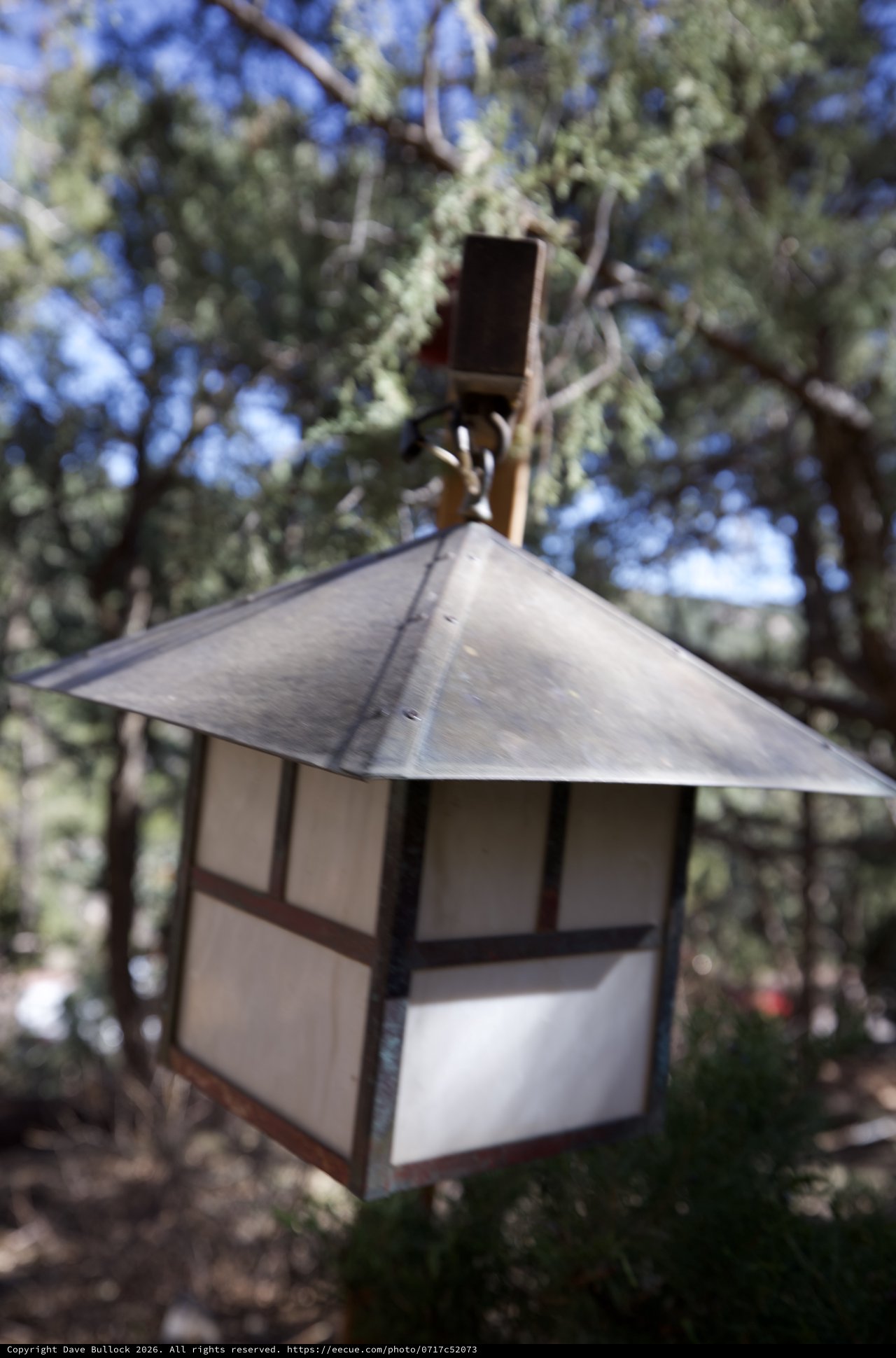 Craftsman-Style Outdoor Lantern Among Pine Trees